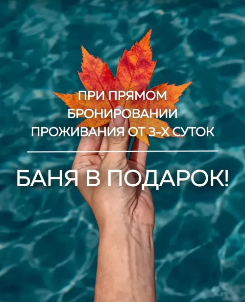Баня в подарок!